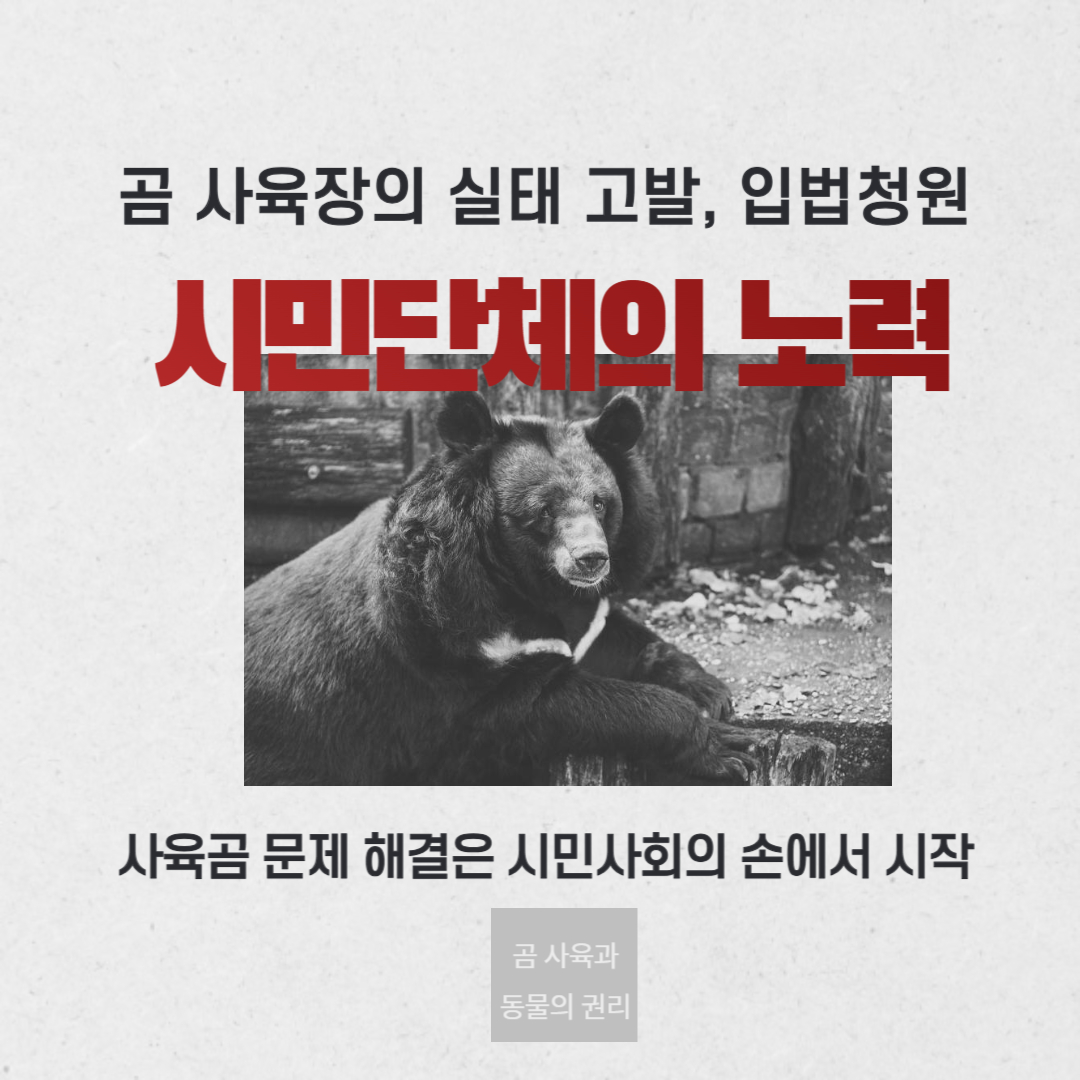 곰 사육 금지를 위한 시민단체의 노력들