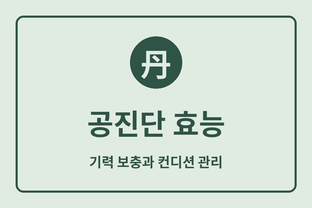 공진단 효능