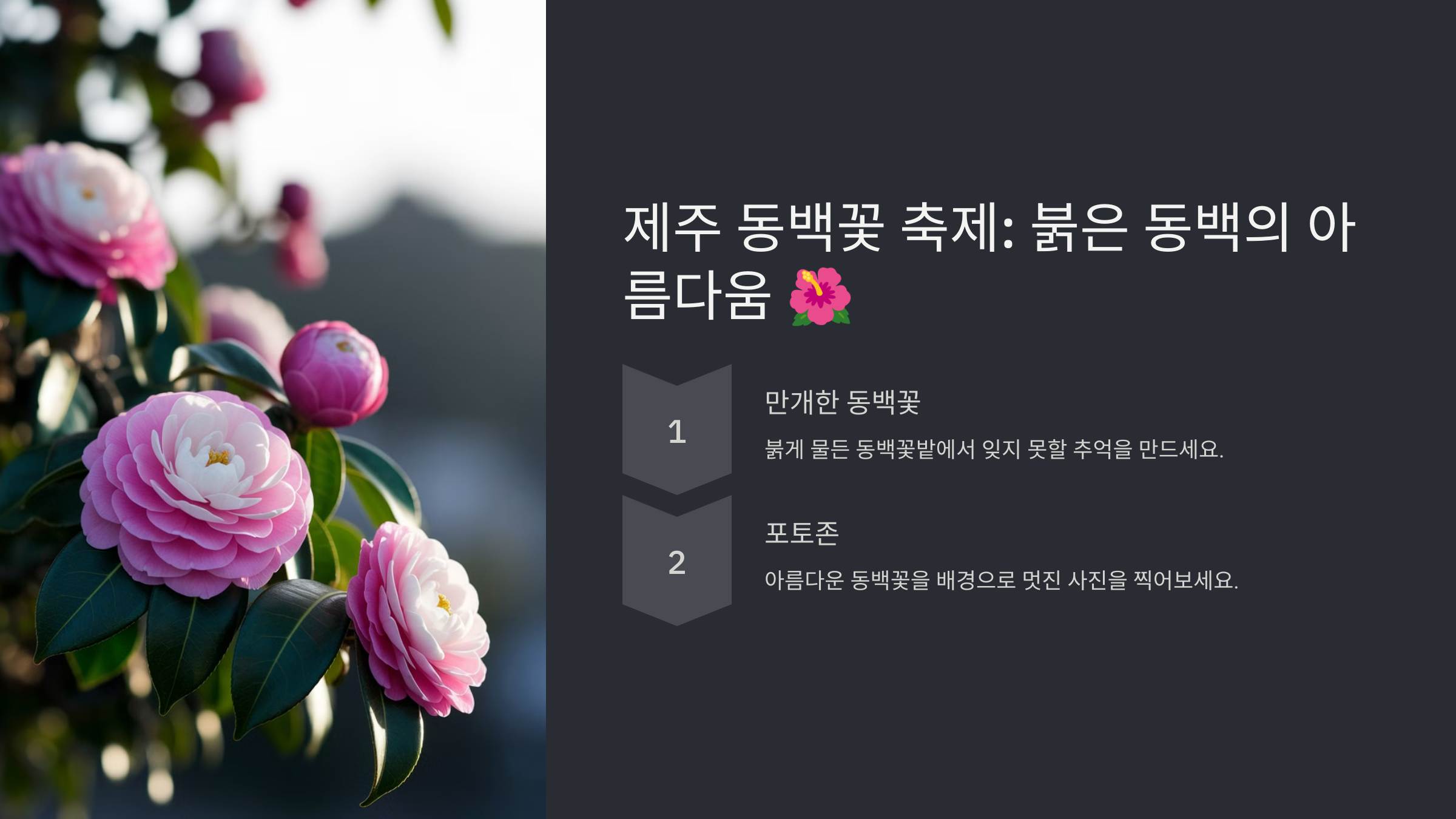 2월 축제 가볼만한 곳 국내 축제 추천