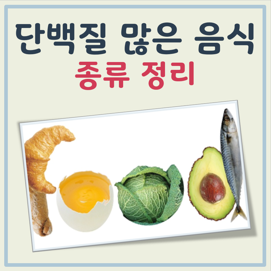 단백질 많은 음식 종류 대표 이미지