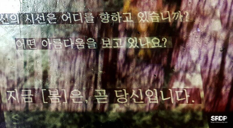 미사장-하남-미사-갤러리-카페-미디어-아트-작품-전시