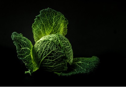 대형마트 절임배추 예약판매 가격비교 이마트 홈플 롯데 농협