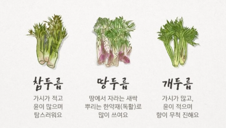두릅