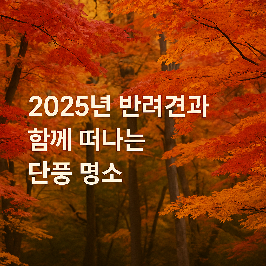 alt="2025년 반려견과 함께 떠나는 국내 단풍 명소 추천 여행지"