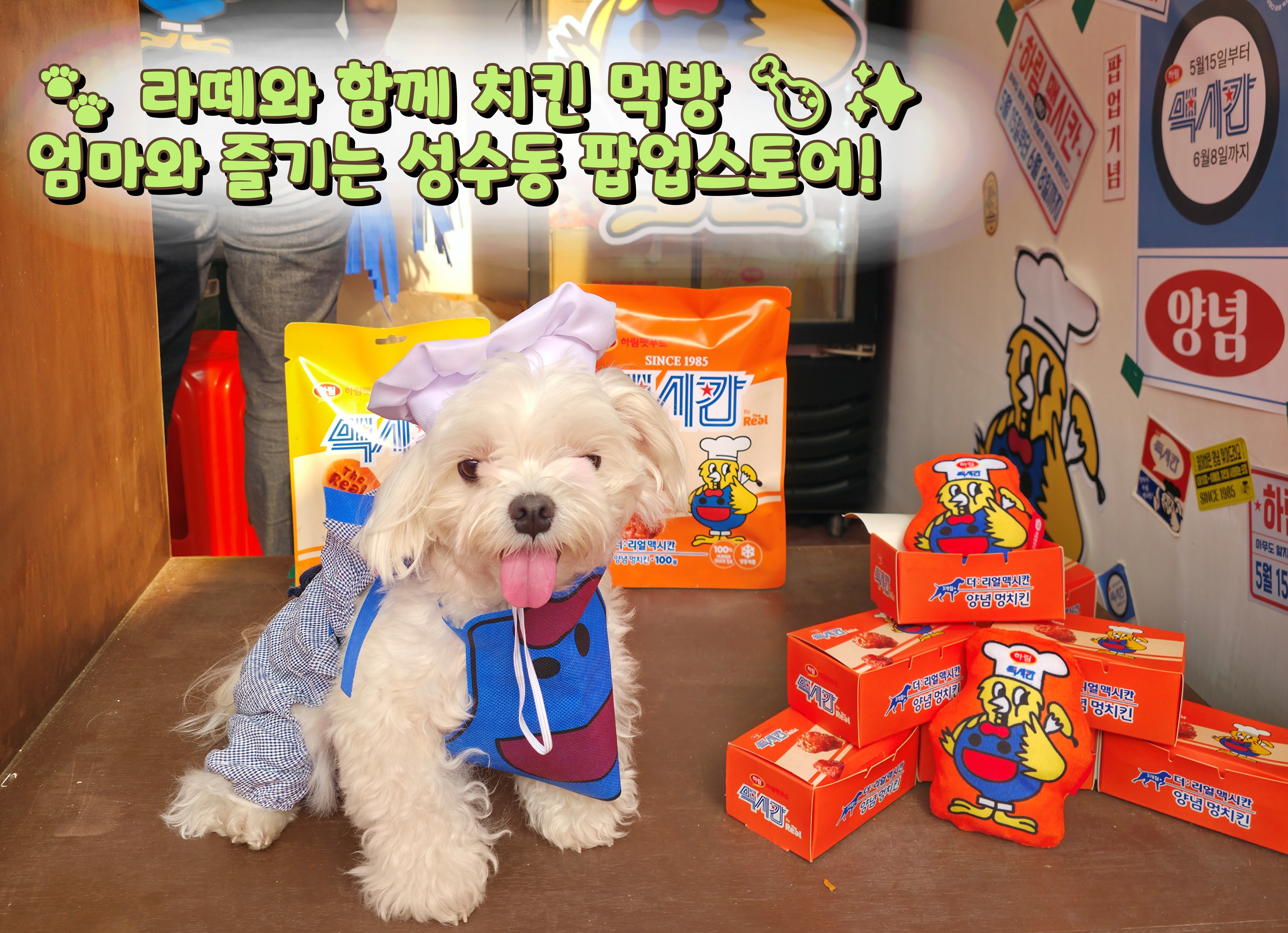 장하다 하림 맥시칸 팝업스토어