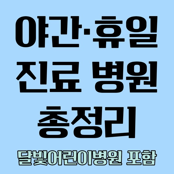 강남&middot;서초 야간&middot;휴일 진료 병원