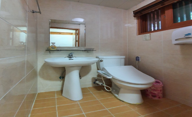 장흥 우드랜드 편백숲