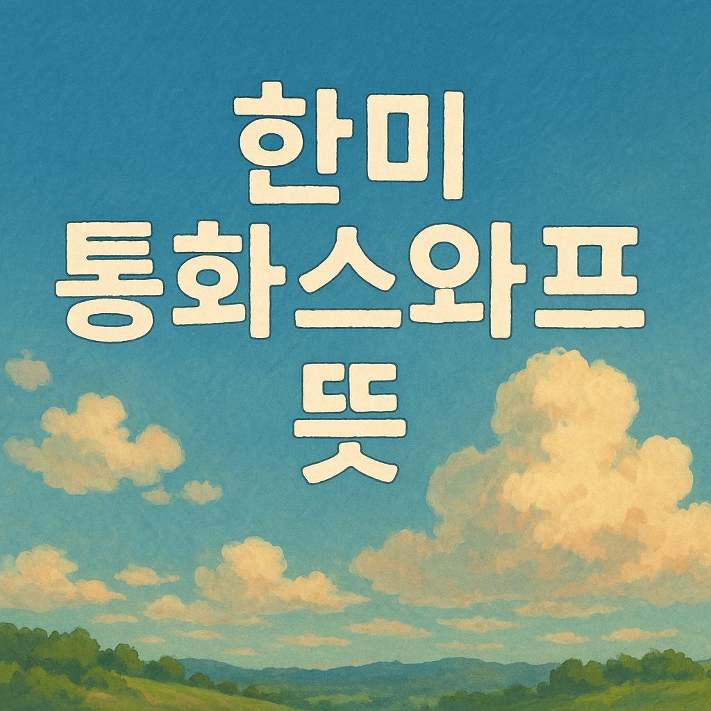 한미 통화스와프 뜻