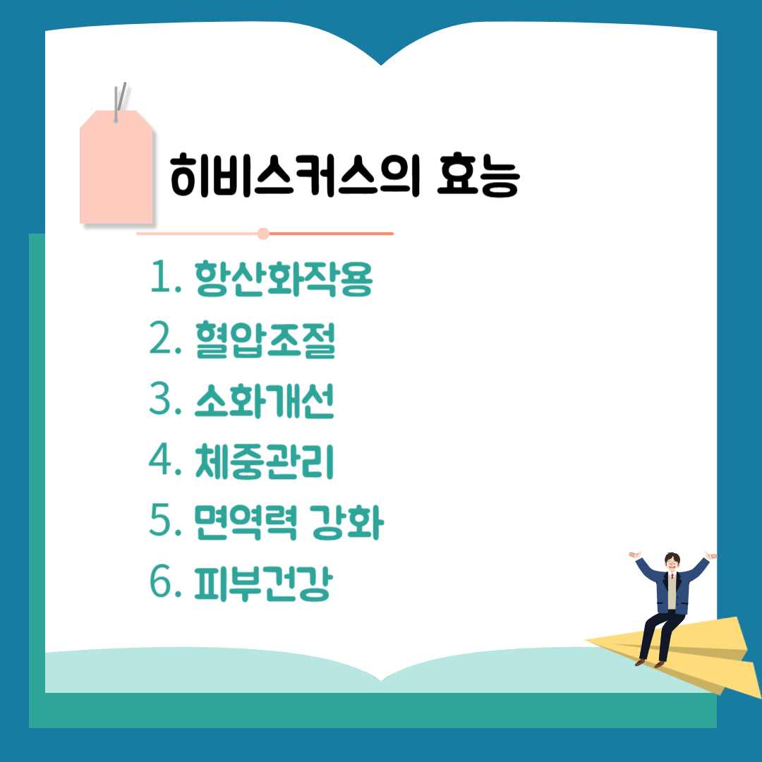 히비스커스의 효능