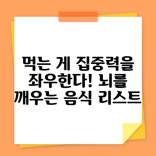 먹는 게 집중력을 좌우한다! 뇌를 깨우는 음식 리스트
