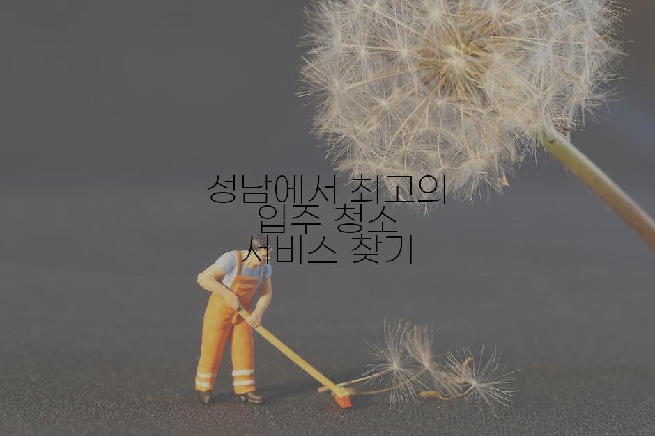 성남에서 최고의 입주 청소 서비스 찾기