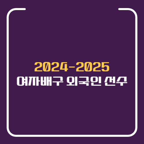 배구 외국인 선수 연봉
