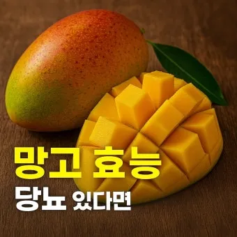 망고 효능 부작용 보관법으로_8