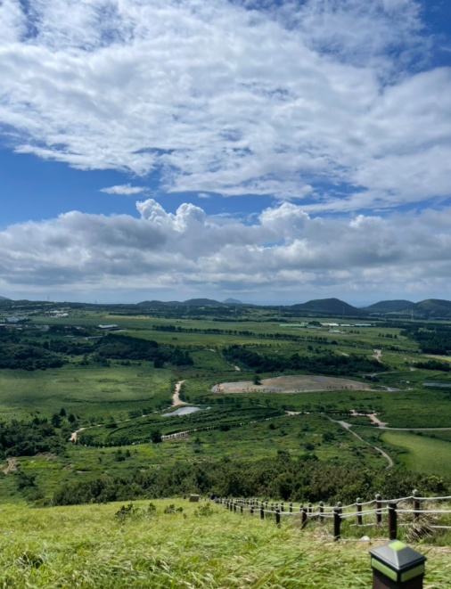 SNS에서 핫한 제주도 인생샷 스팟 (감성, 자연, 풍경)