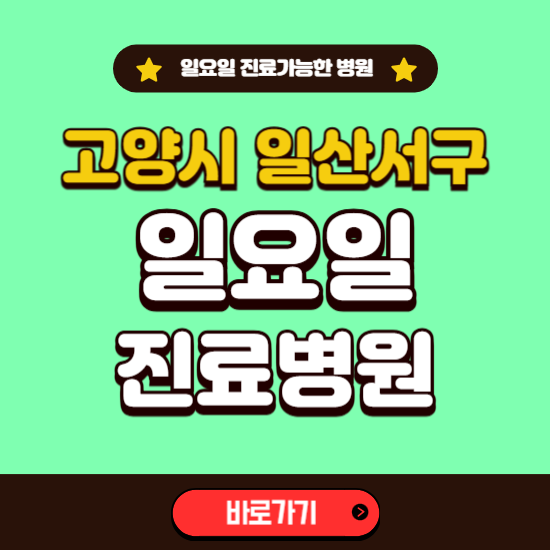 고양시 일산서구 일요일 진료 가능한 병원 ❘ 주말 문여는 곳 총정리 (소아과, 내과, 안과, 치과, 피부과, 정형외과, 산부인과)