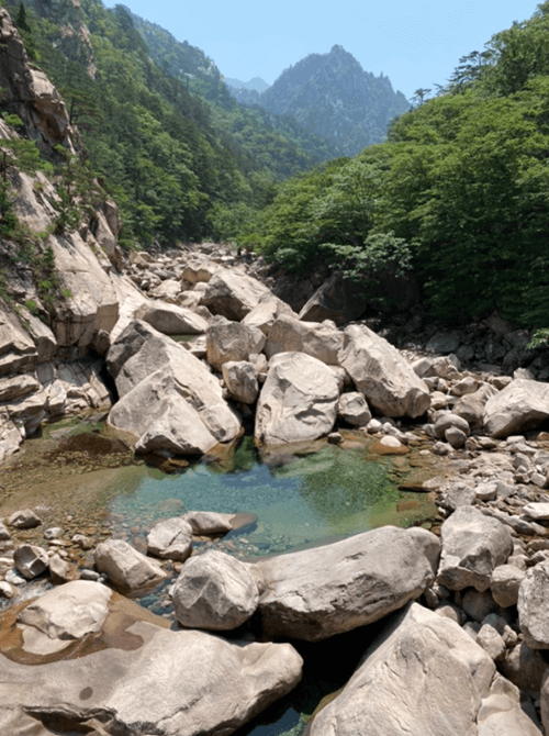 공룡04