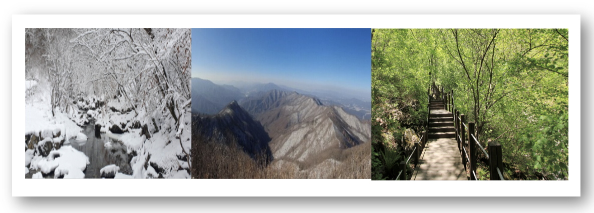 숲나들e 자연휴양림 인천/경기 강씨봉 예약하기