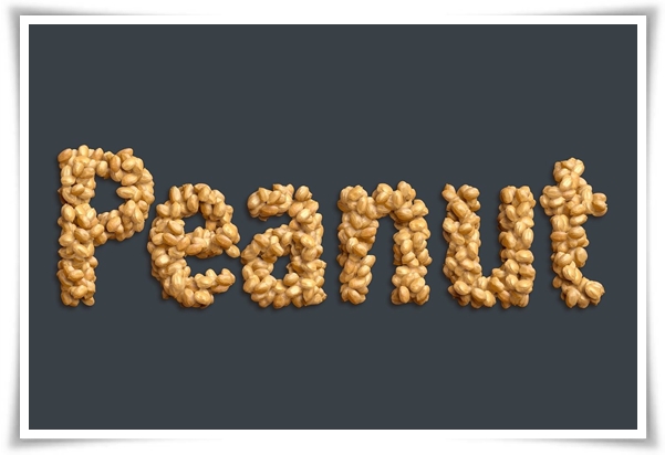 &quot;9월, 땅콩 수확 시작하세요!&quot; 수확 시기/수확/건조/활용법/건강 상 이점