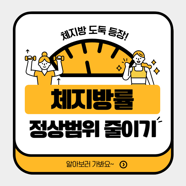 체지방률 정상범위 줄이기 꿀팁