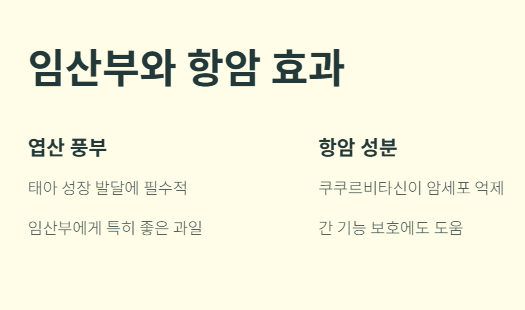 참외의 효능 : 임산부와 항암성분