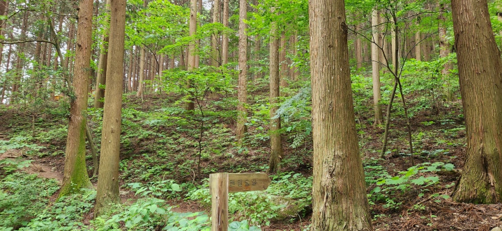 장성 치유의숲 맨발숲길 끄트머리