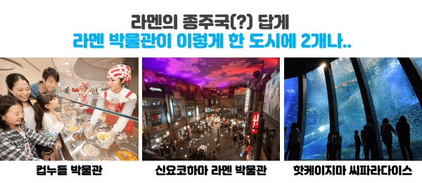 도쿄-근교-여행지-가마쿠라-에노시마-요코하마-하코네-이즈-닛코-카와고에-스이카-애플페이-일본-체크-카드-돈키호테-할인쿠폰