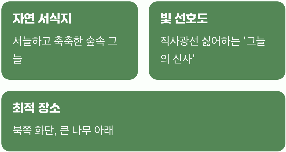그늘진 곳에 피어나는 보석