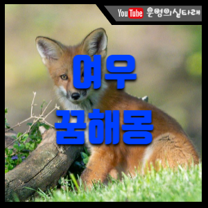 썸네일 사진