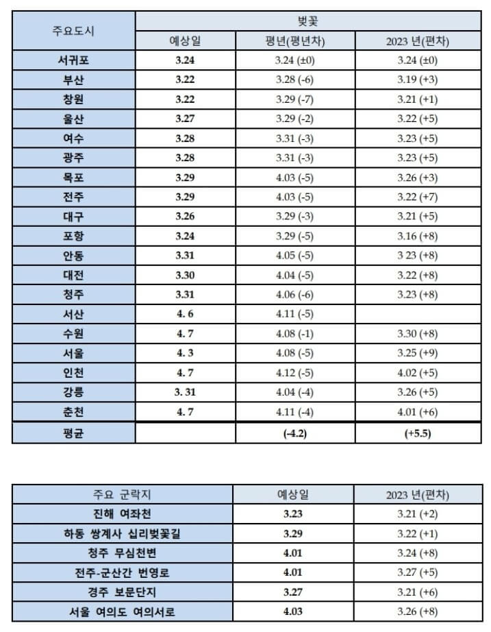 2024년 벚꽃 개화시기/ 지역별 벚꽃명소 추천