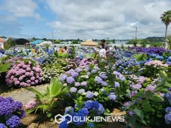 제주 여름 축제 일정표 불꽃놀이 포함 행사 소개_26