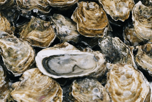 탈모에 좋은 음식14