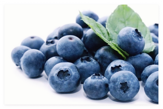블루베리-효능-효소