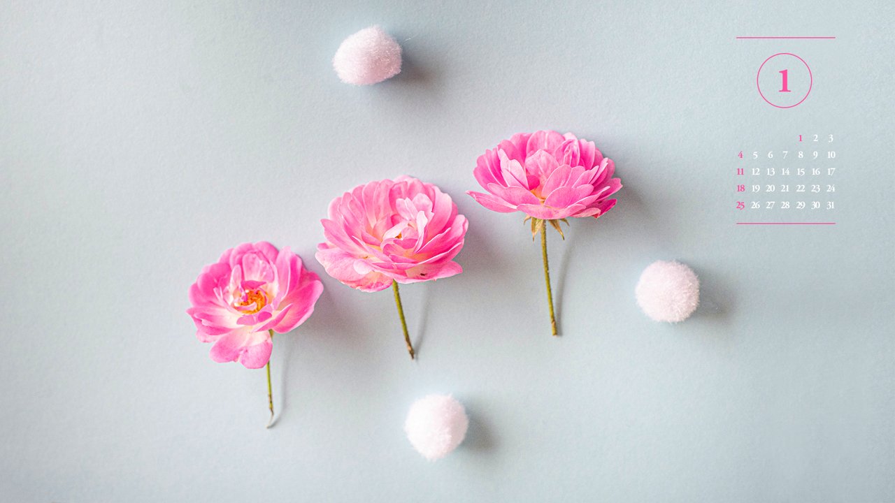 08 모란꽃 세송이 A - 2026년1월 달력배경화면