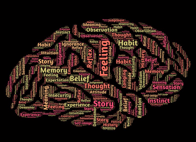 뇌 심리 사고방식 사진