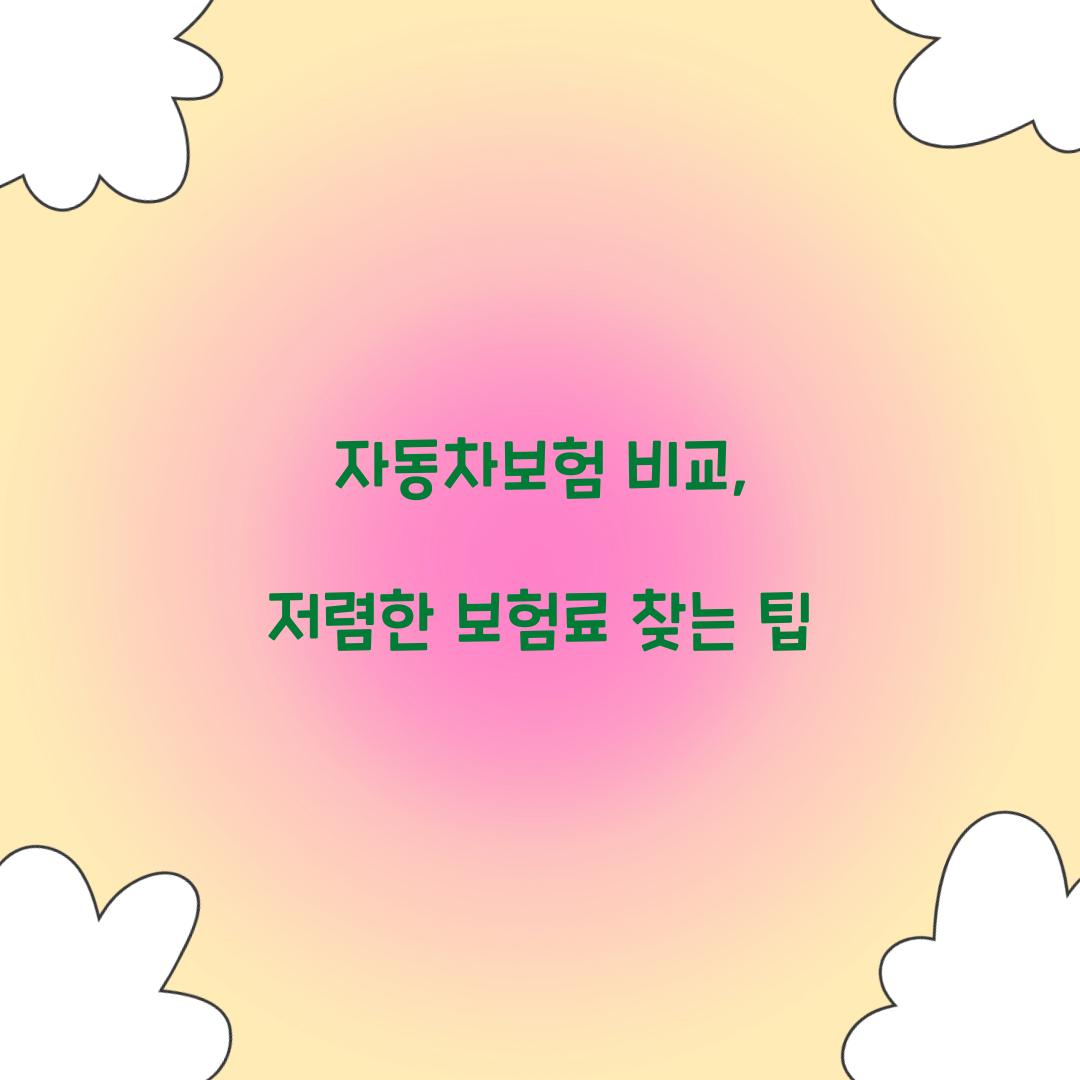 자동차보험 비교