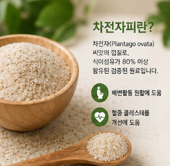 차전자피환-효능-먹는법-후기-식이섬유-추천-가루-분말-차이점