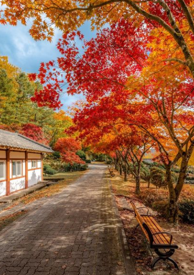 충북-제천-가볼만한 곳-배론성지-청풍호반케이블카