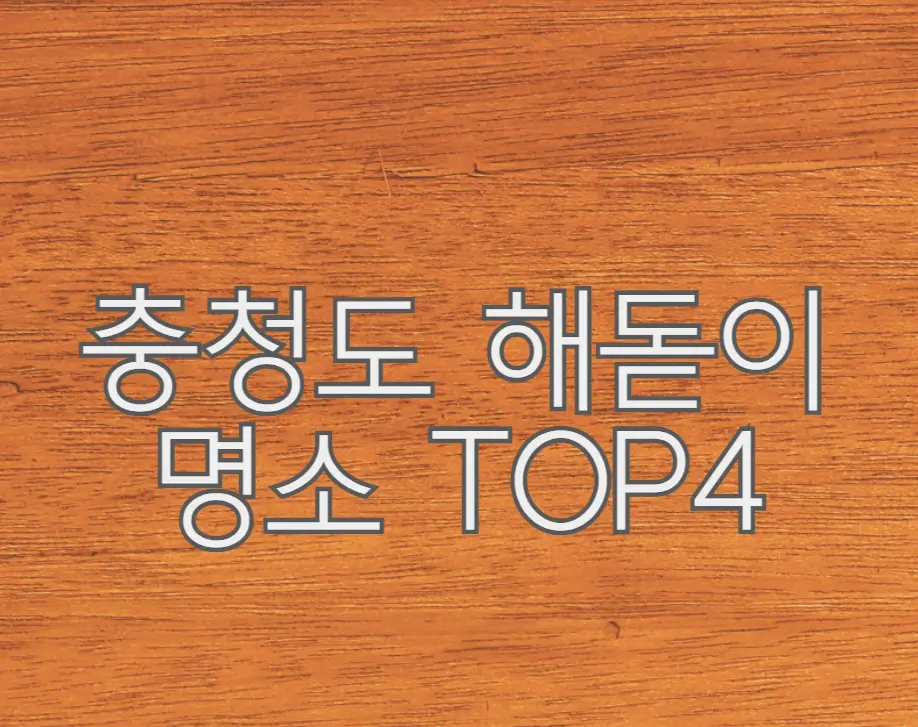 충청도 해돋이 명소 TOP4