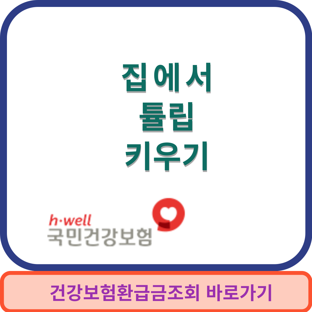 튤립키우기썸네일