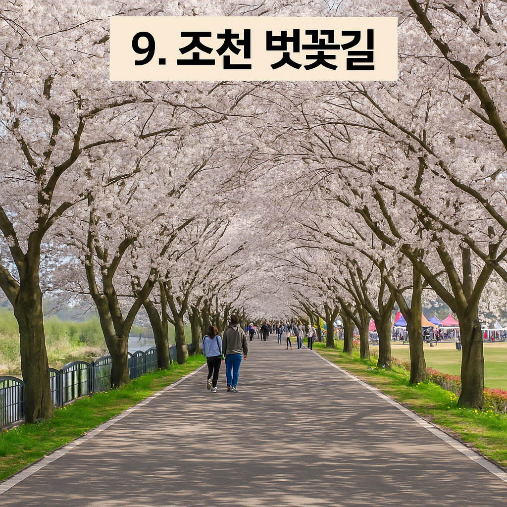 세종시 가볼만한 곳 베스트 10