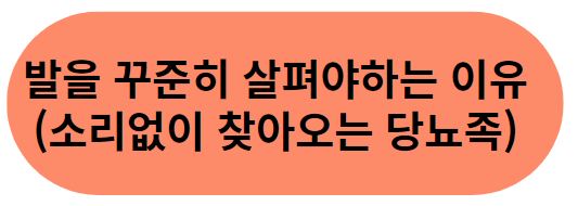 당뇨병 환자_당뇨족