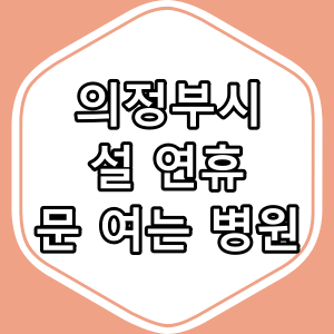 "의정부시 설 연휴 문 여는 병원 현황"