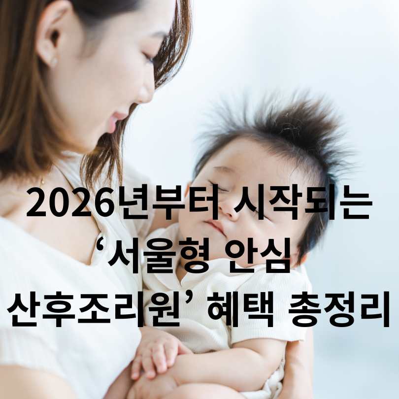 &lsquo;서울형 안심 산후조리원&rsquo; 혜택