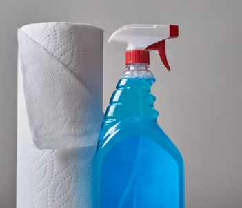 가사도우미, 가정부에 대하여 알아보기