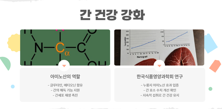 간 건강 강화