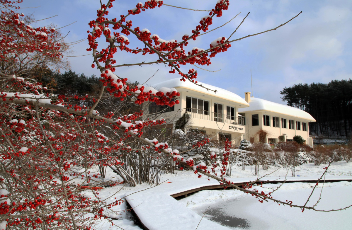 천리포수목원 겨울