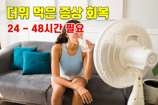 더위 먹은 증상 더위 먹었을때 대처 회복기간