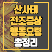 산사태 정보 관련 포스팅 썸네일