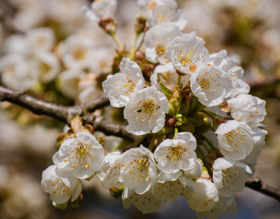 화담숲-예약하기