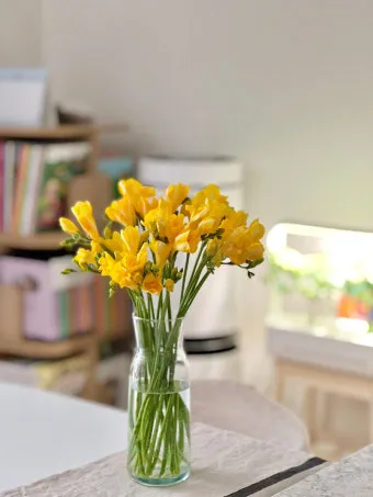 프리지아 수선화 꽃말 꽃다발 선물 의미_12